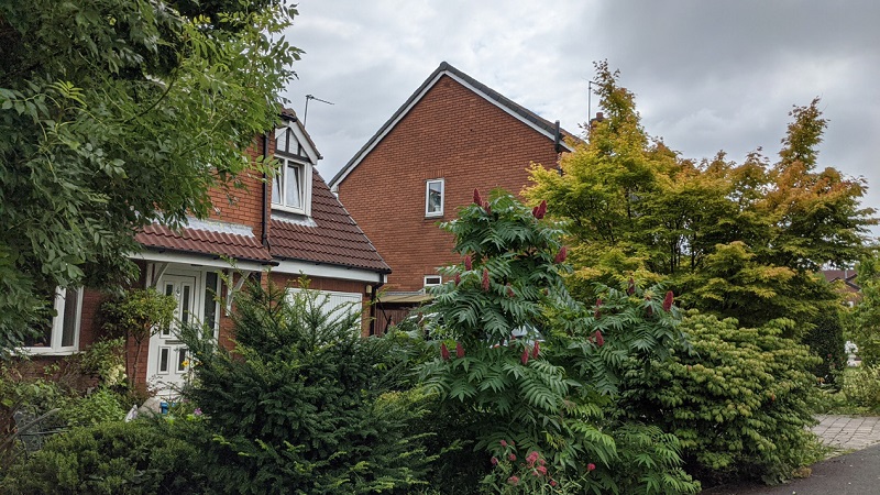 Image of front garden with a mixed hedge