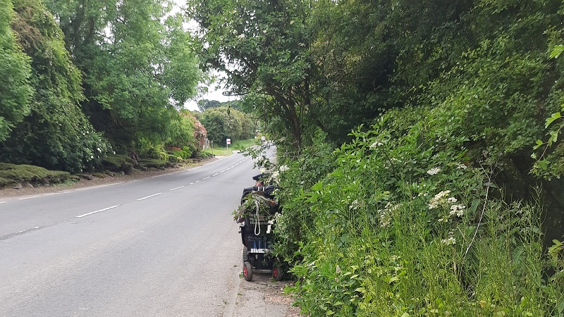 example of a public road with overgrown hedges, vegetation and trees