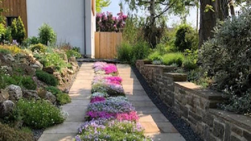 Image of Roundhay eco-house planted with thyme