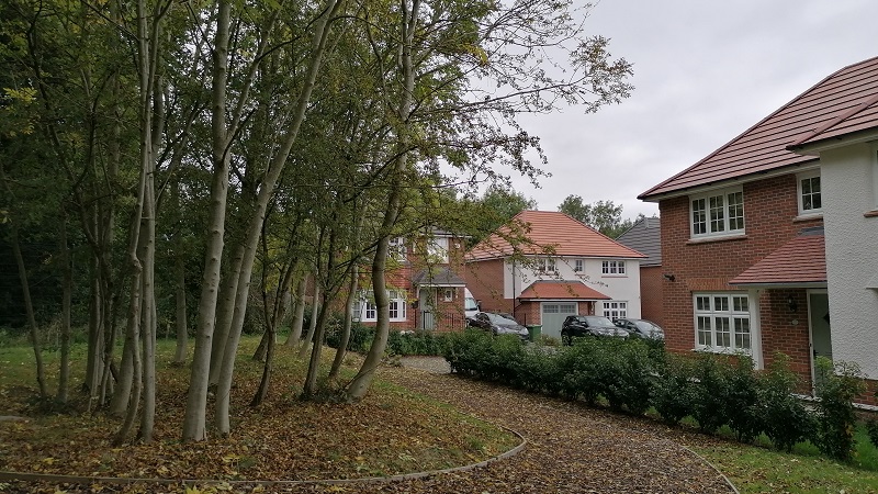 image of houses and greenspace in recently completed development