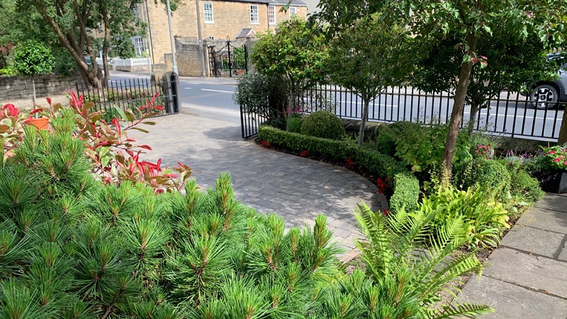 Example of front gardens with driveways and plants